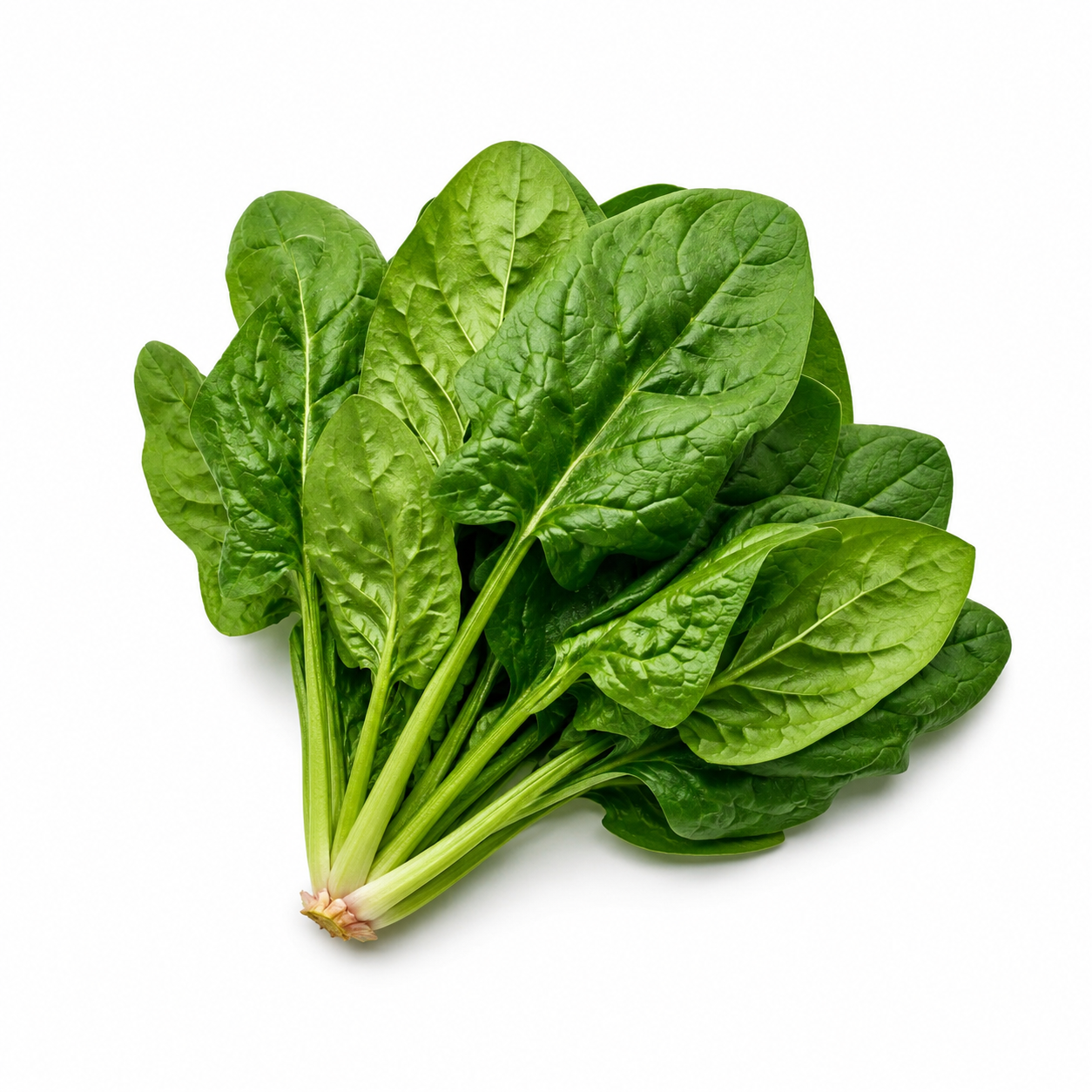 Espinaca