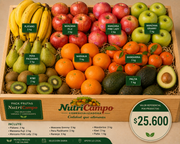 Pack Frutero XL