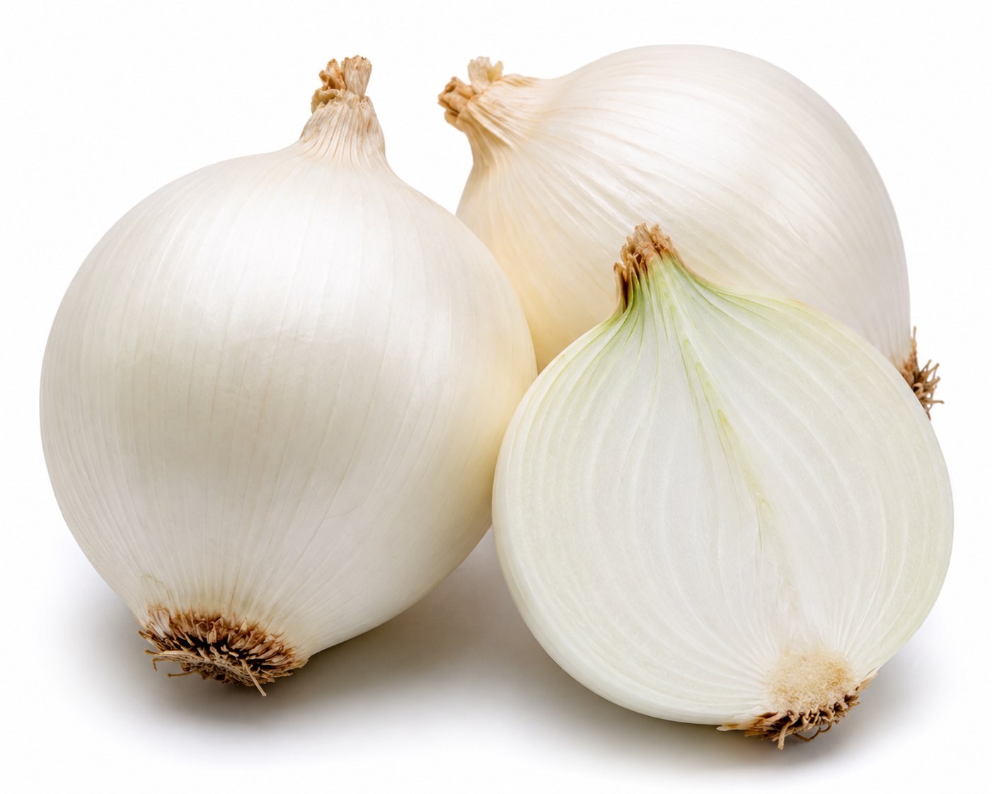 Cebolla blanca