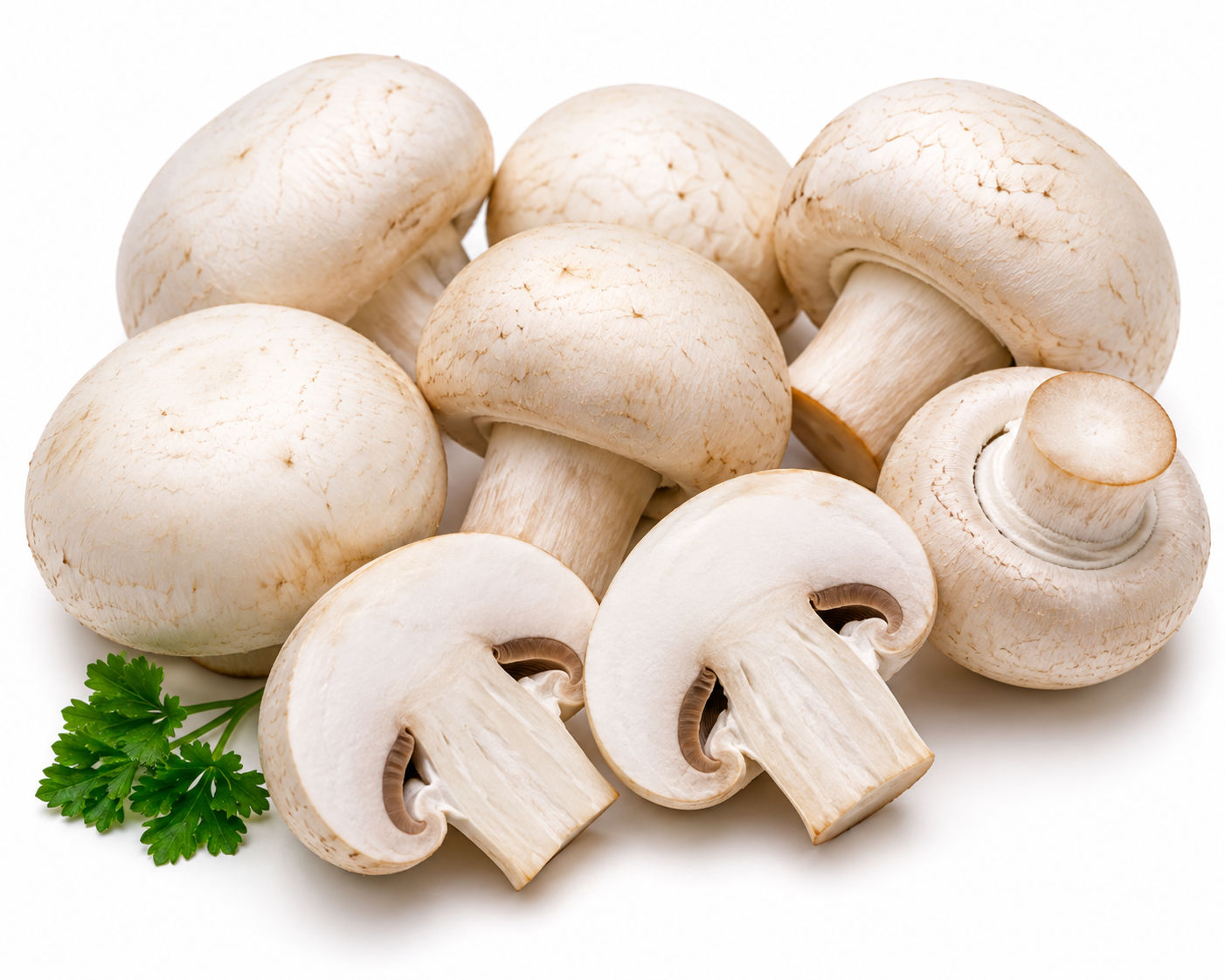 Champiñón blanco