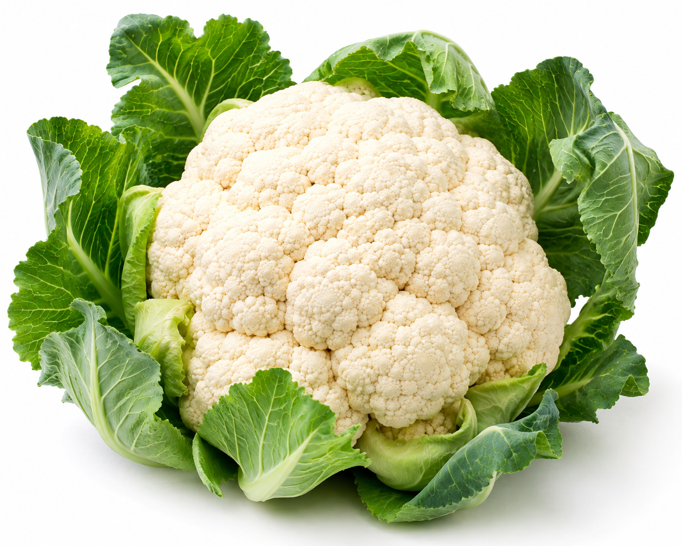 Coliflor
