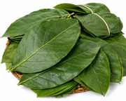 Hoja para hallacas