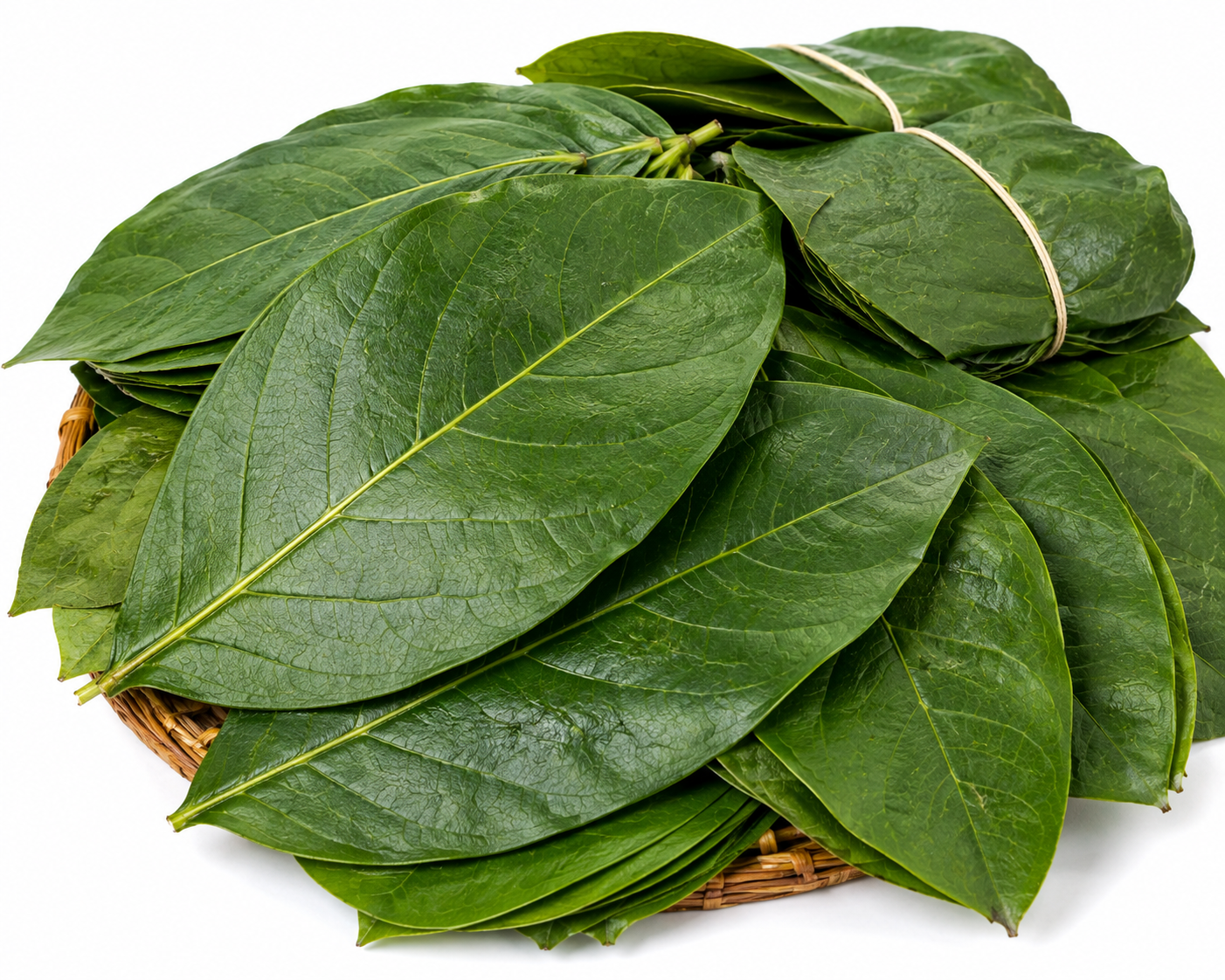 Hoja para hallacas