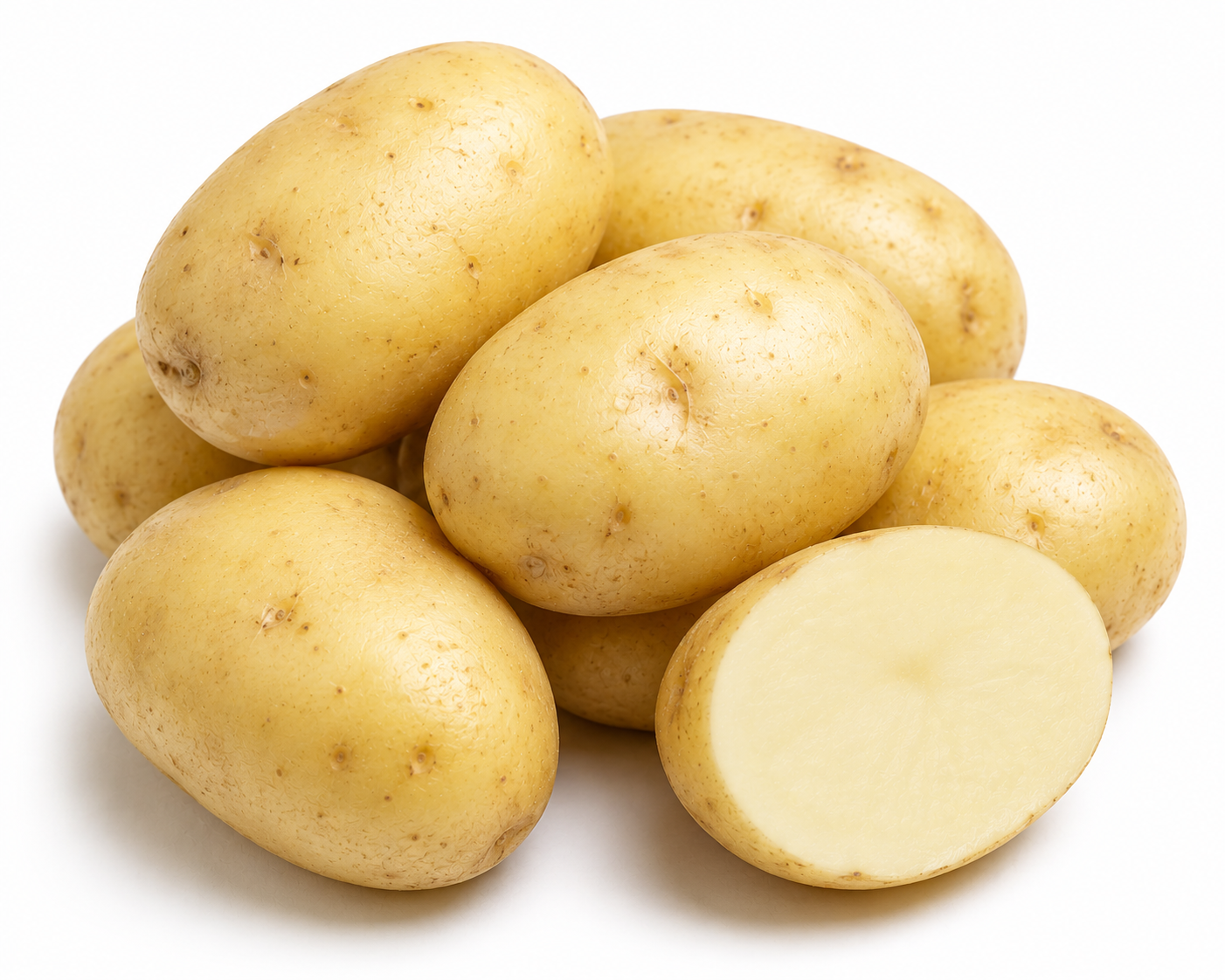 Papa blanca