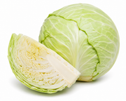 Repollo blanco