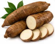 Yuca